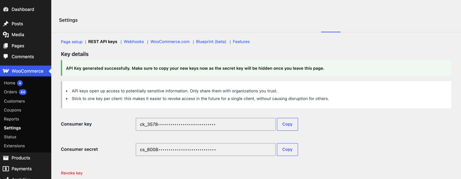 The generated Consumer key and Consumer secret